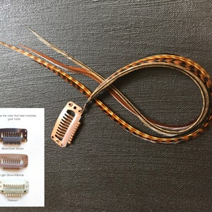 Natural Feather Hair Extension Clip: Warm Brown & Copper