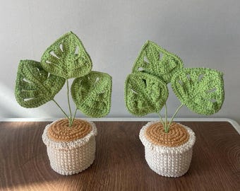Crocheted Monstera Adansonii Plant – Potted Swiss Cheese Amigurumi Desk Decor