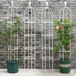 Rostfri metallrörsspaljé för trädgårdsobelisk, tomatbur och växtstöd för klätterväxter - Höjd 175 cm (vit) - fri frakt