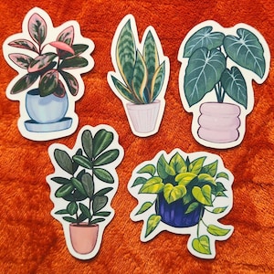 Puede incluir: Conjunto de cinco pegatinas de plantas con varias plantas en macetas. Las pegatinas incluyen una planta con hojas rosas y verdes en una maceta azul, una planta de serpiente y una planta con hojas verdes grandes en una maceta rosa.