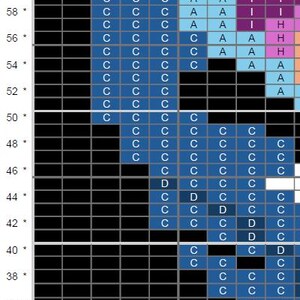 May include: A grid chart with coloured cells, predominantly blue, with light blue, purple, and orange cells. Letters 'C', 'A', 'D', and 'I' are visible within the grid. The chart is divided into rows and columns.