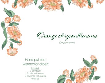 Watercolor Hand Painted Clipart - Orange Chrysanthemum - Orange and Green Flowers