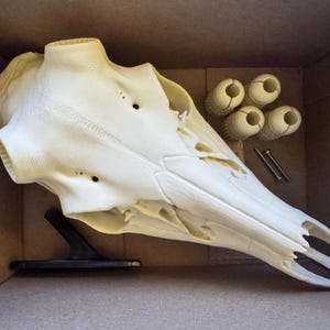 3D printed White-tailed Deer Skull (skull only with wall hook)