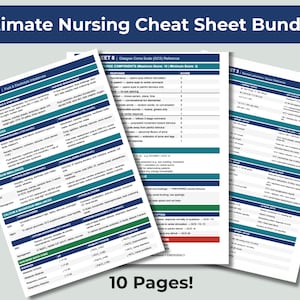 Nursing Clinical Cheat Sheets Bundle | 10 Essential Reference Guides (PDF Download)