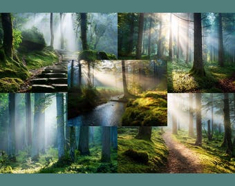 Enchanted Forest Scene | Photography Backdrops (Digital Download)