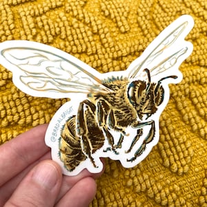Honey Bee Sticker Illustration - Waterproof Decals & Flexible Magnets
