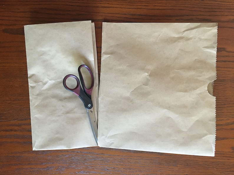 May include: Two brown paper bags and a pair of red-handled scissors on a wooden surface.