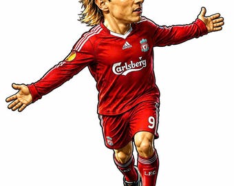 Modello 3D personalizzato di Fernando Torres