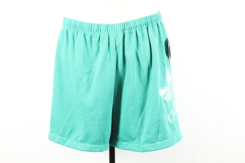 May include: Teal athletic shorts with a white Adidas logo on the right leg.