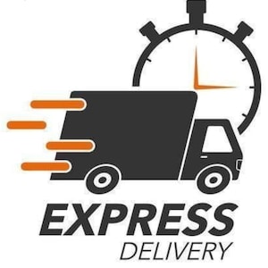 Könnte beinhalten: Ein schwarz-oranges Grafiklogo mit einem stilisierten Lieferwagen, der sich mit Bewegungslinien nach links bewegt, vor einem Uhrensymbol. Der Text lautet GOLDEN SHARDS JEWELS oben und EXPRESS DELIVERY unten mit einem Ahornblatt-Symbol.