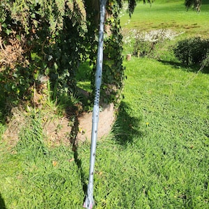 May include: A tall, gray staff with decorative diamond patterns and a textured grip. The staff has a pointed end with pink accents. It is leaning against a tree in a grassy outdoor setting.