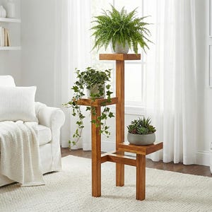 Puede incluir: Un soporte de madera para plantas de tres niveles con tres plantas en macetas. El estante superior contiene un gran helecho, el estante central tiene una planta colgante y el estante inferior muestra un arreglo de suculentas. El soporte es de madera marrón claro.