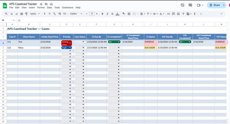 APS Caseload Manager Excel Template | Adult Protective Services Tracker ...