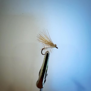 Foam Body Caddis Fly