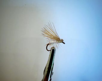 Foam Body Caddis Fly