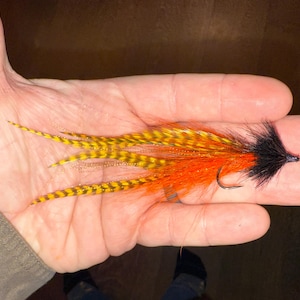 May include: A handmade fishing fly with a black head, orange body, and yellow and brown feather accents. The fly is tied with a curved hook and is designed for catching fish.