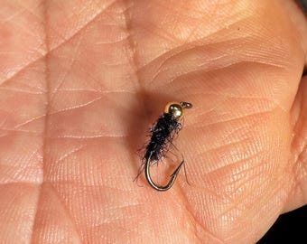 Waltz Worm Size #12