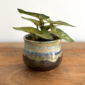 May include: A small ceramic plant pot with a green plant. The pot has a rounded shape and a glazed finish with bands of brown, blue, and yellow. The plant has green leaves with red veins. The pot sits on a wooden surface.