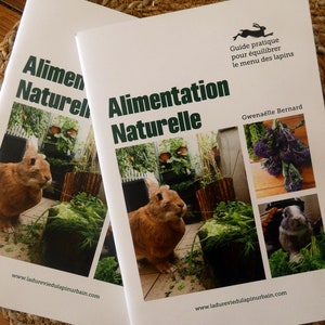 Alimentation naturelle Guide d'alimentation du lapin de compagnie. image 1