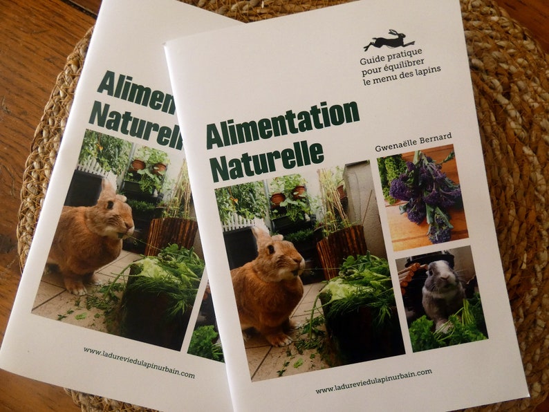Alimentation naturelle Guide d'alimentation du lapin de compagnie. image 1