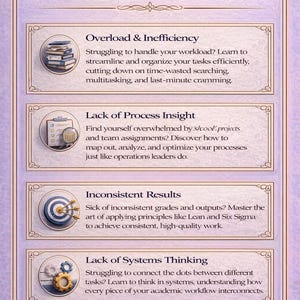 May include: An ebook cover with a purple background and decorative borders. The title "What this eBook Solves" is at the top. The content addresses issues like overload, lack of process insight, inconsistent results, and lack of systems thinking.