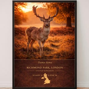 Fallow Deer Print – Richmond Park London Wildlife Photography – Autumn Nature Decor