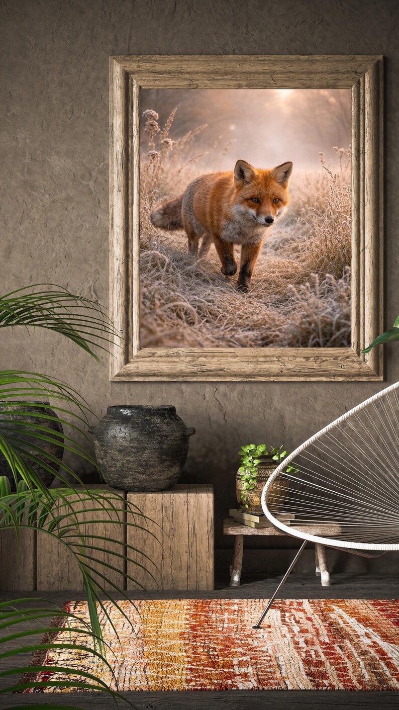 Rustic Fox Image Red Fox Frosty Meadow Print | Wildlife Winter Nature Photography ...