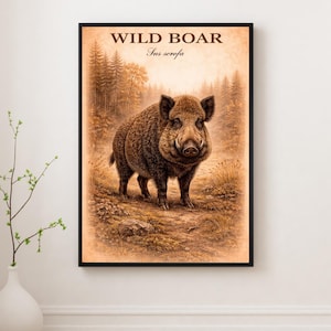 May include: A framed sepia-toned print showing a detailed illustration of a wild boar. The artwork depicts the boar standing in a forest setting, with the words "WILD BOAR Sus scrofa" at the top. The print is displayed on a white wall.