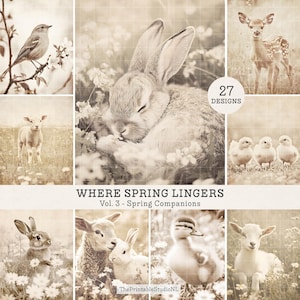 Where Spring Lingers Vol. 3 Spring Companions | Vintage Sepia Animal Portraits | Lamb Bunny Chick Duckling Photos | Digital Download