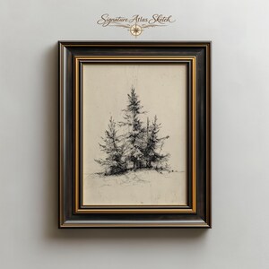 Op de afbeelding: Een zwart en goud omlijst kunstwerk met een gedetailleerde pen- en inkt schets van verschillende groenblijvende bomen. Het kunstwerk staat tegen een crèmekleurige achtergrond en is ingesloten in een donkere lijst met gouden accenten.