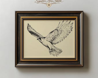 鷲の鉛筆画 アーティストサイン入りB4 オジロワシのアート | オリジナルの色鉛筆画 | 肖像画サイズ 10