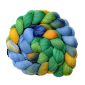 Hand dyed roving - 19μ Merino wool combed top spinning fiber - 4.3 ounces - Canalway 1