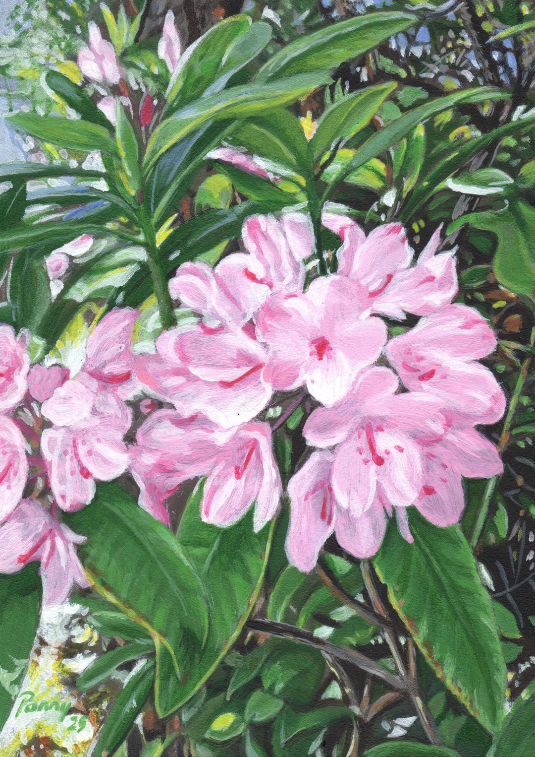 Original Oregon Landscape Painting: Wild Rhododendron Flowers, 7x5