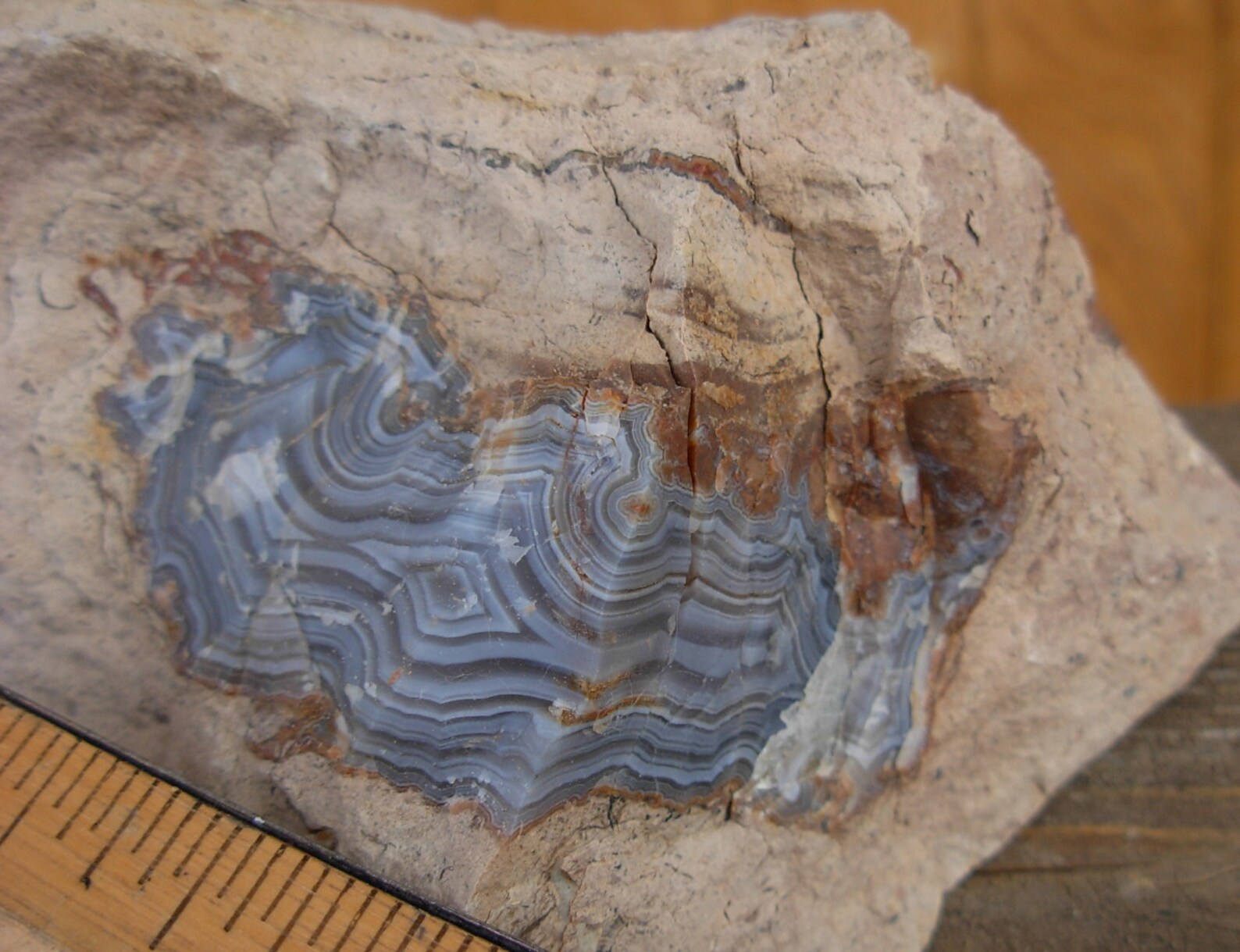 Blue Agate Specimen From South Dakota Raw in Matrix // Etsy