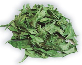 200g Dried Neem Leaves | Natural Neem Leaf | Azadirachta indica | Herbal Tea & DIY Use