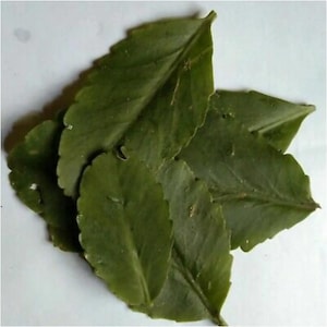 May include: A set of three ceramic mugs with a speckled, matte finish. The mugs are in shades of cream, light brown, and dark brown. Each mug has a simple, minimalist design, perfect for coffee or tea.