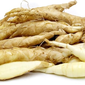 May include: A pile of fresh, raw galangal rhizomes, featuring a light brown exterior and a creamy white interior. The image showcases the elongated, finger-like shape of the rhizomes, with some cut open to reveal the inner flesh.