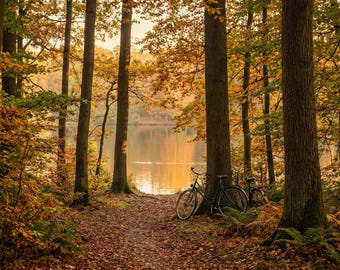 Grote landschapsmuurkunst voor woonkamer, herfst bospad print, Still of the Land