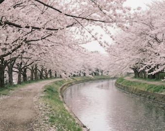 Japanse muurkunst grote print kersenbloesem landschap rustige muur kunst woonkamer
