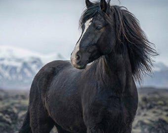 Black Horse-muurkunst voor woonkamer, donkere humeurige paardenprint, groot verticaal wildkunstwerk
