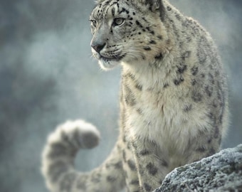 Muurkunst sneeuwluipaard, grote verticale print voor woonkamer