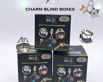 Project SKZ blind charm box, Stray Kids jewelry, Stray Kids charm bracelet, SKZ stay