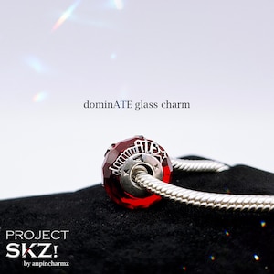Charms PROJECT SKZ (lot 2), bijoux Stray Kids