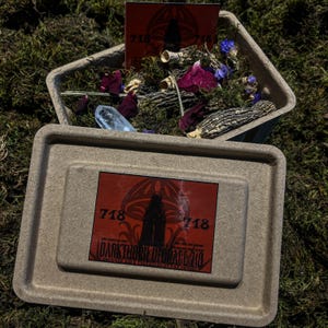 May include: A light brown rectangular tray with a lid, both made of a cardboard-like material. The lid displays a red label with the text "718 DARKTHORN UFO FORAGE 718". The tray contains moss, dried flowers, and a clear crystal, creating a natural display.