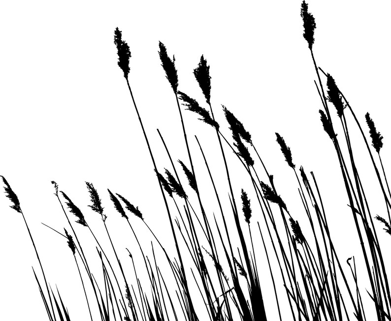 Tall Grass Wall Decal Blade Leaf Decor Reeds Grasses Wheat Etsy