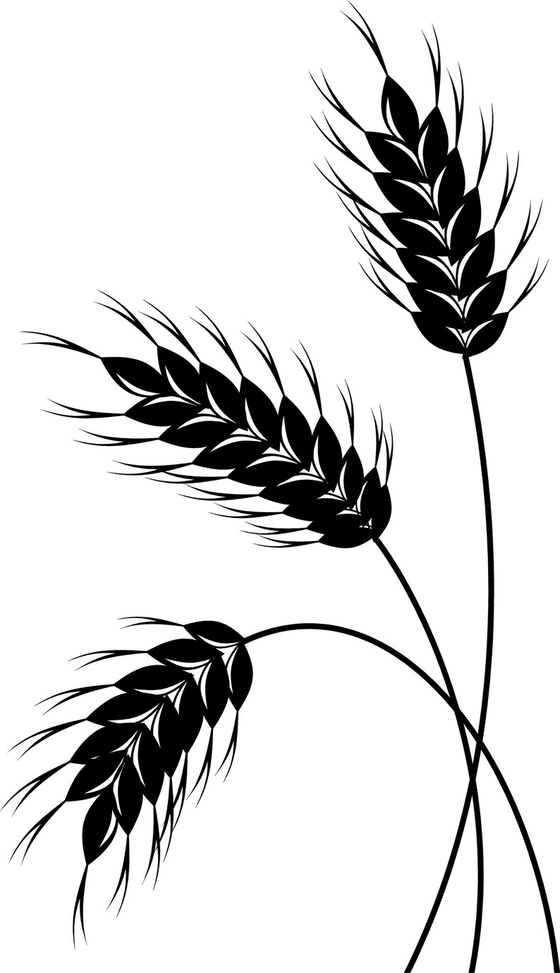 Wheat Wall Decor Wheat Grass Decorative Design Food Whole Etsy