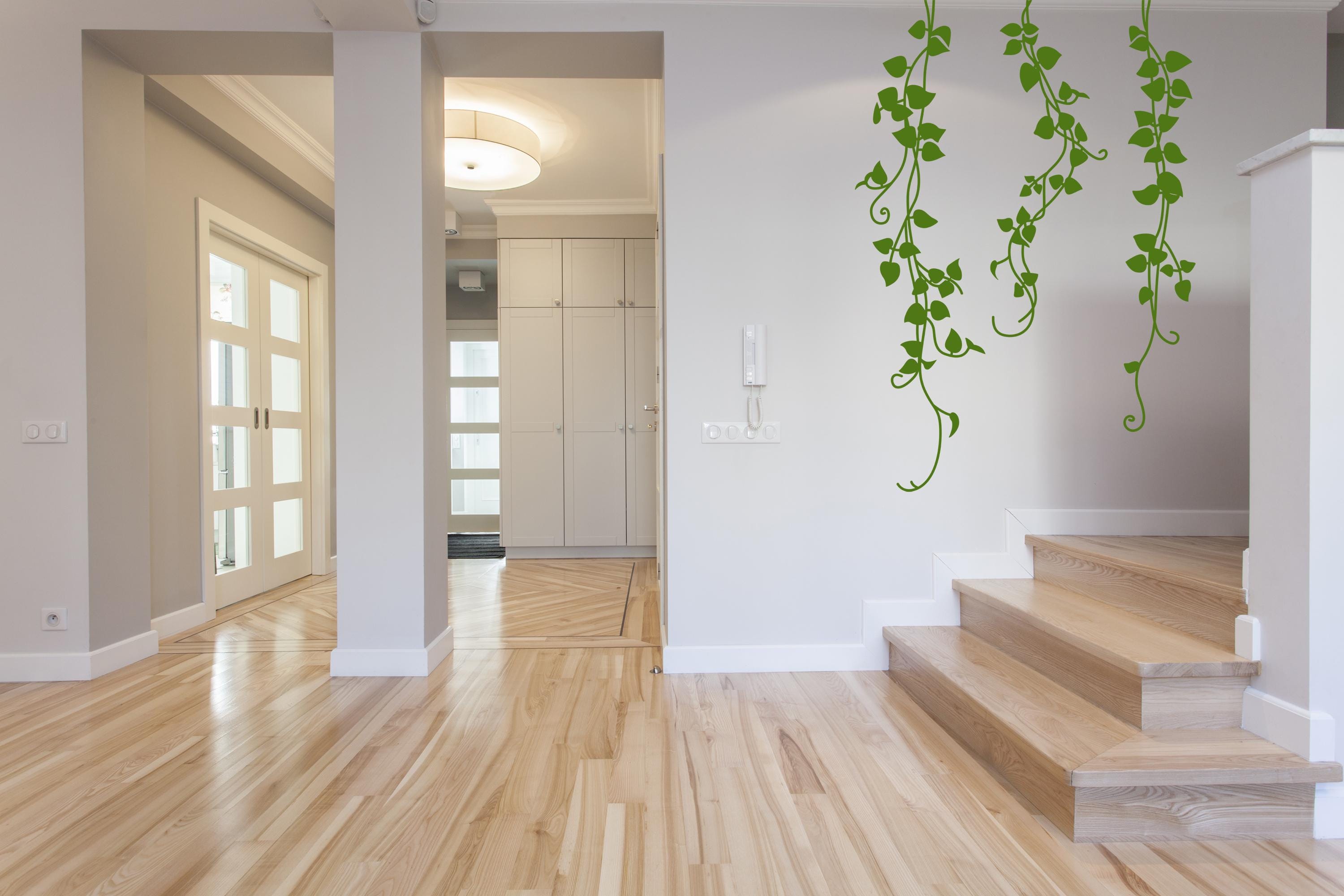 Hanging Vines Wall Decal, Tall Narrow Wall Art, Plants Vines for Decor ...