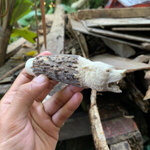 May include: A hand-carved knife handle featuring a bear head. The handle is made of light brown and cream-colored materials, with the bear's head at the end. The bear's mouth is open, revealing its teeth. The handle has a textured appearance.