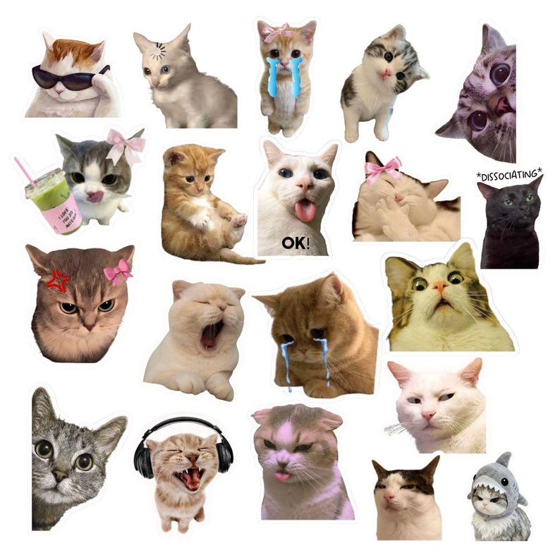 Cat Meme Sticker Pack | PNG + SVG Files | 40 Digital Stickers for ...