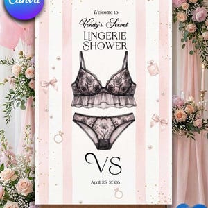 Sexy Lingerie Poster